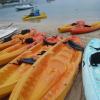 Kayaks for free usage by guests through Cruz Bay Watersports